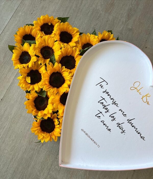 Caja de girasoles