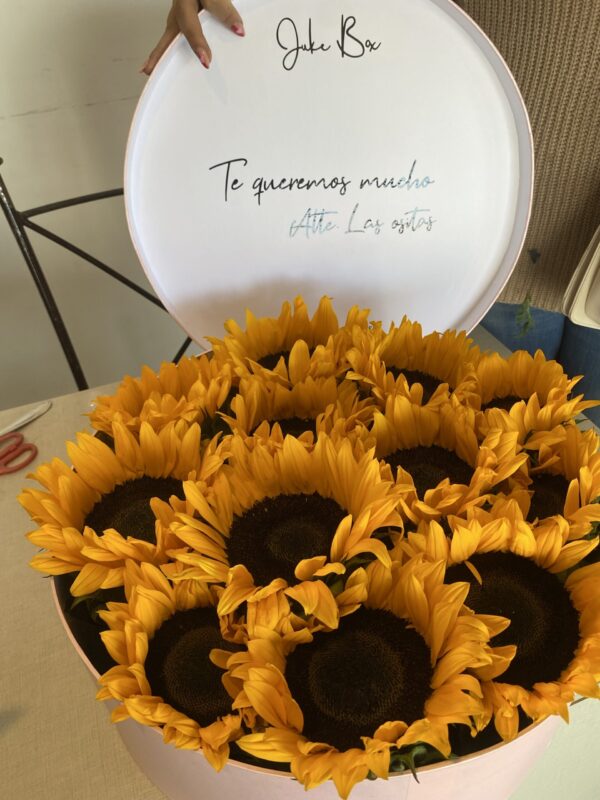 Caja de girasoles