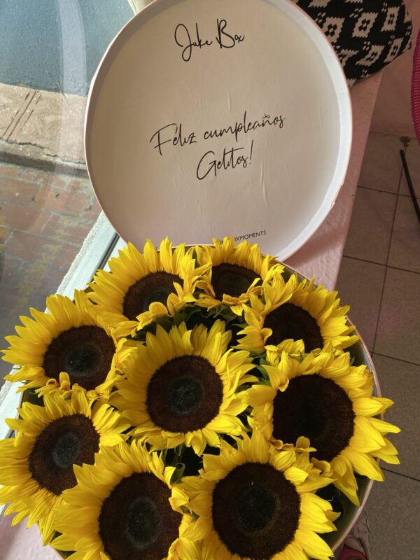 Caja de girasoles